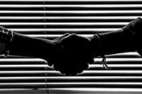 Creating Brand Trust